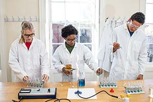 Medical sciences preparation course at Rochester Independent College